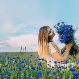 Read more about the article Василёк – скромный полевой цветок с большими возможностями