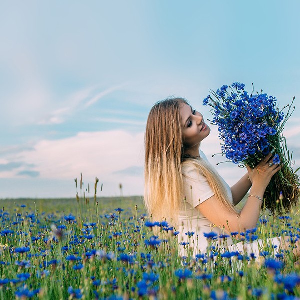 Василёк – скромный полевой цветок с большими возможностями
