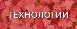 Полиада-Крым